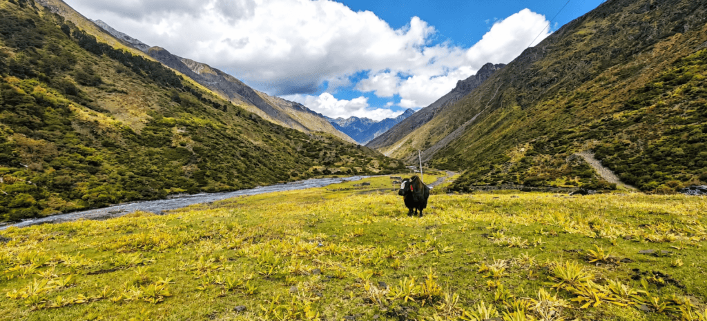 Mago and Chuna Valley surrounded by Himalayan mountains in Tawang Arunachal Pradesh