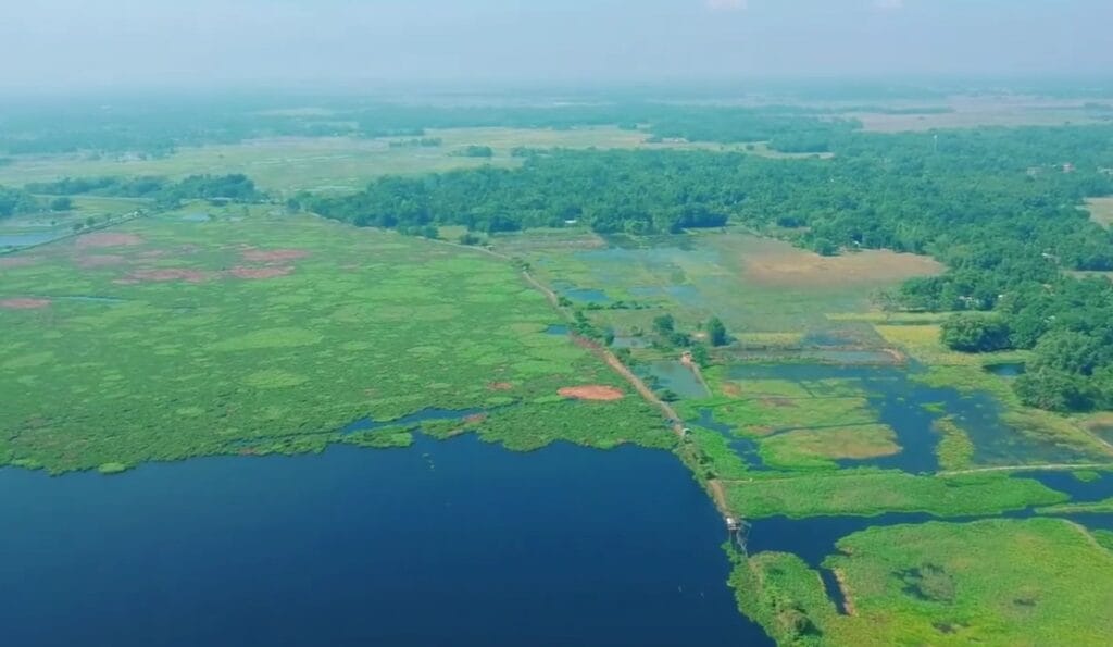 Bird habitat around Kaapla Beel wetland in Barpeta Assam